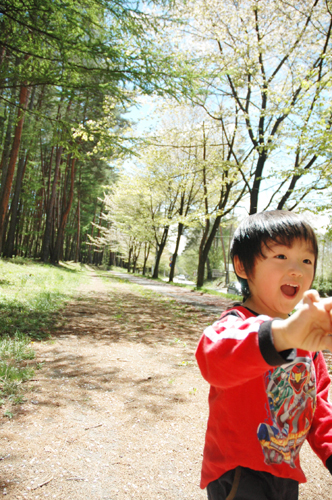 桜の花びらを追いかける
