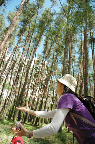 桜の花びらを追いかける写真王子と写真母さん