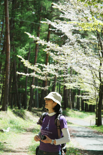 桜の花びらを追いかける写真母さん