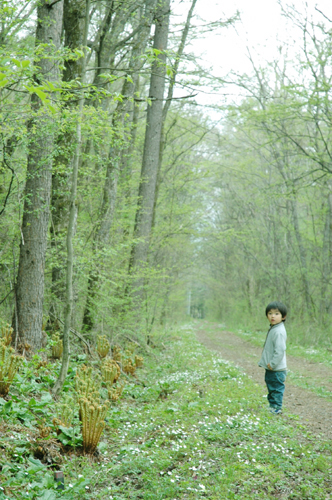 原村の教会への小道