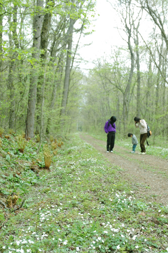 原村の教会への小道