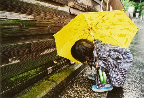 かたつむり発見
