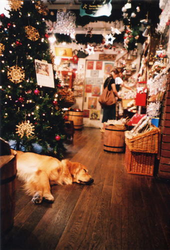 クリスマス屋さんで