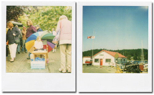 カナダでポラロイド