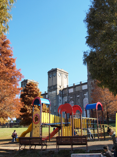 森林公園の遊具