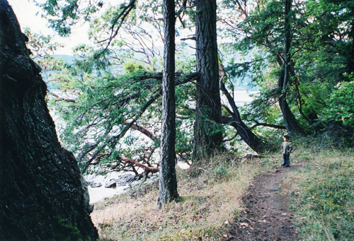 インディアンリザーブ