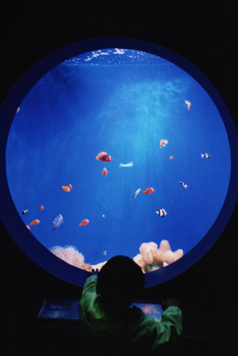 油壺マリンパーク