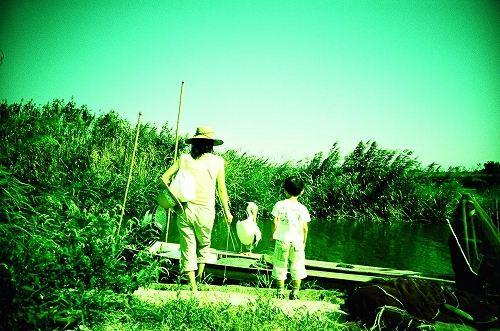 ペリカンをクロスプロセス