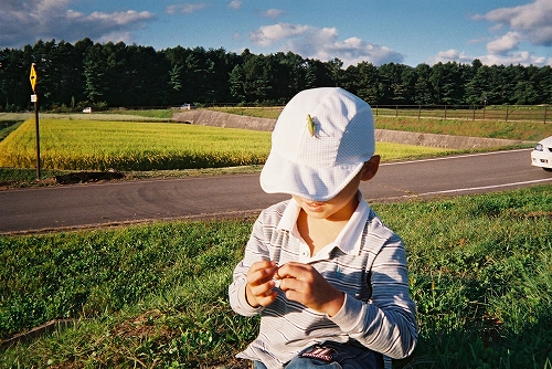 バッタ止まってます