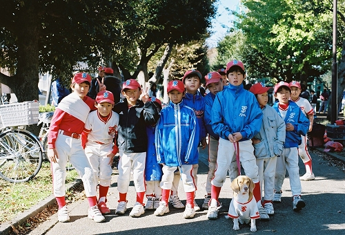 ファイナル野球