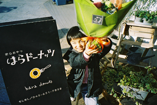 はらドーナッツフラワー