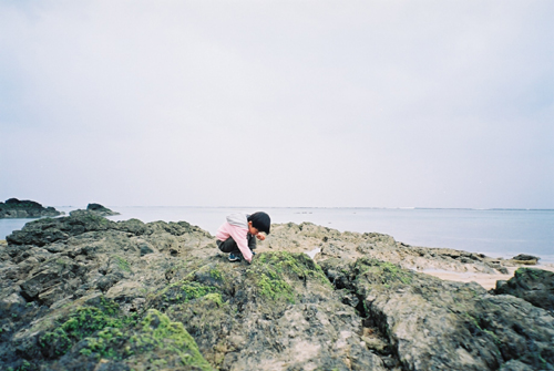 奄美大島 カニ探し