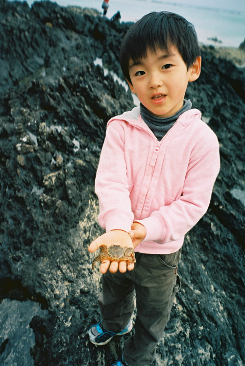 ばしゃやまでカニGET