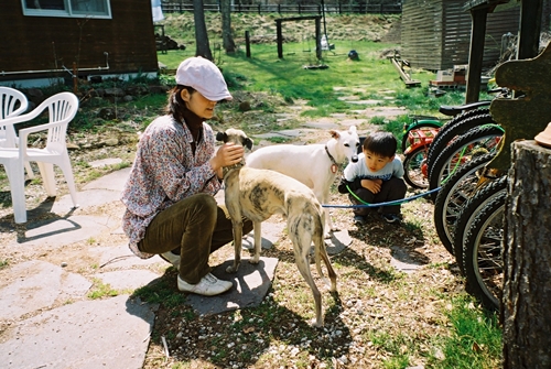 さんどりよんさんのウィペット