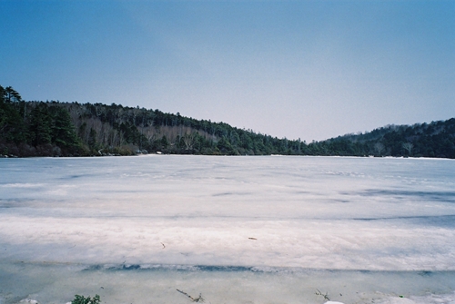 氷の白駒池