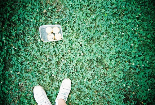 ブルーベリーマフィン