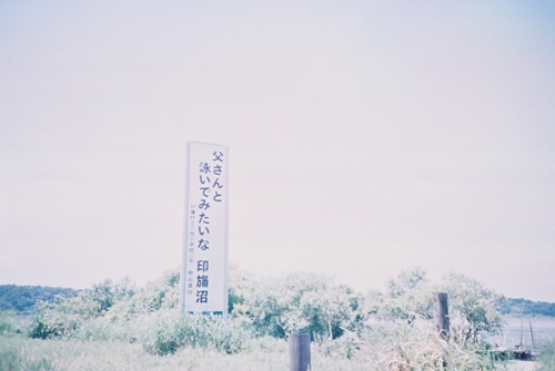 父さんと　泳いでみたいな　印旛沼