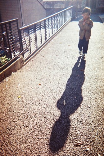 影が長い