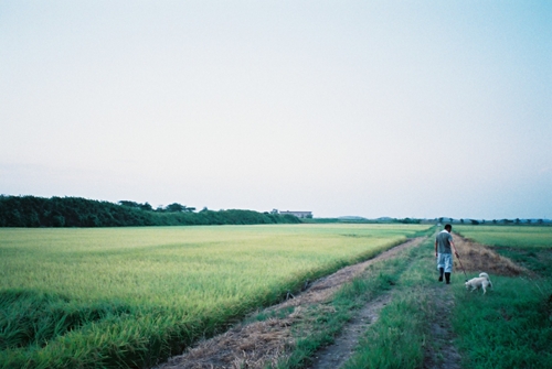 印旛村の夕暮れ