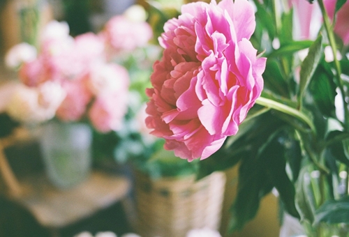 Pas de deux（パ・デゥ・デゥ）