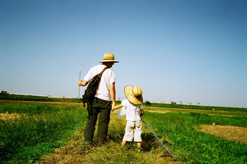 印旛村のあぜ道