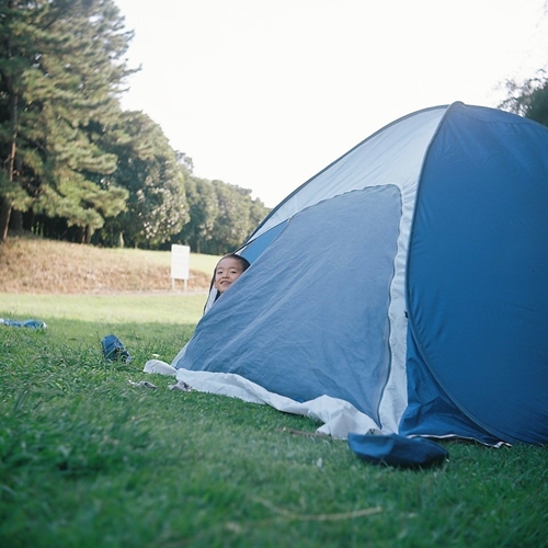 根岸森林公園でテント