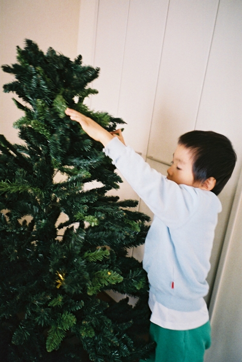 ツリーの飾り付け