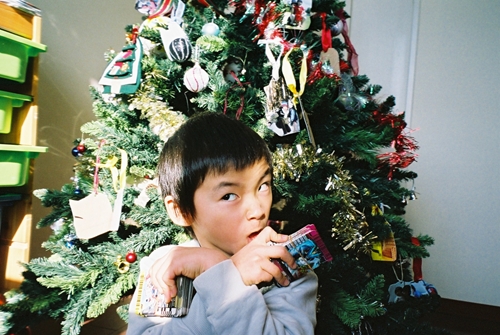 プレゼントとツリー