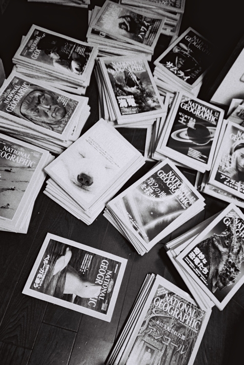 ナショナルジオグラフィック