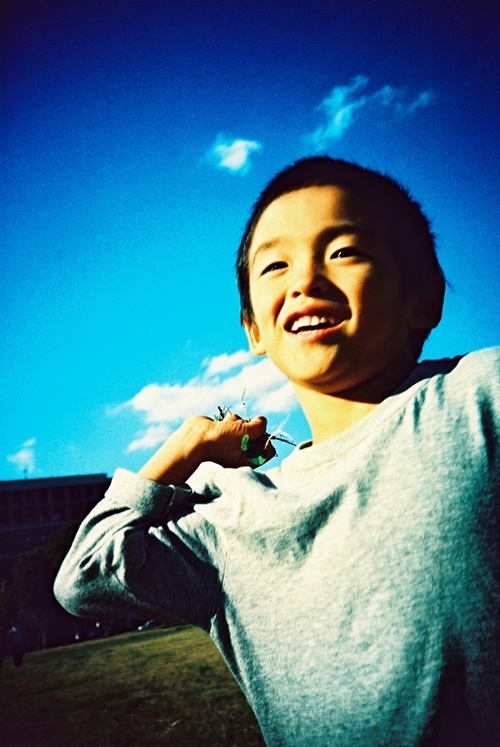 芝生の投げ合い