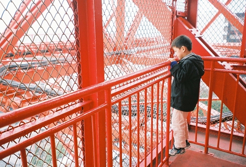 東京タワーを階段で