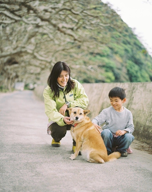諸鈍のデイゴ並木にて