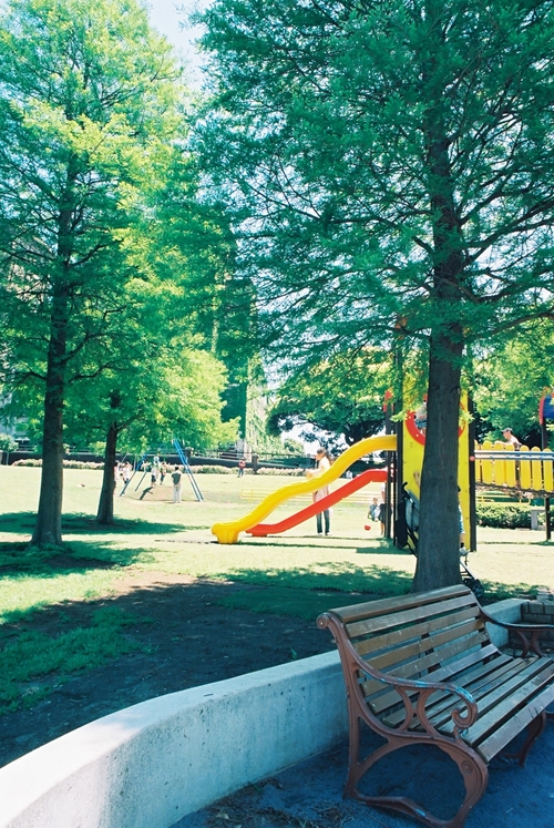 森林公園の遊具