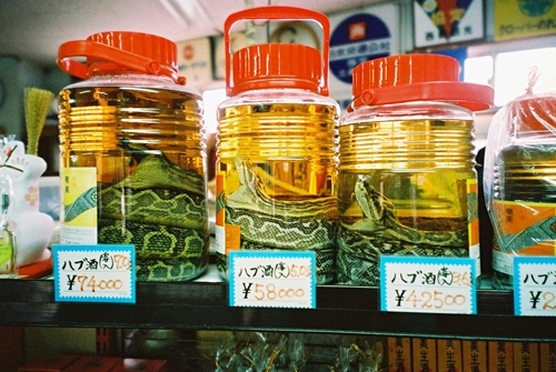 まむしドリンク