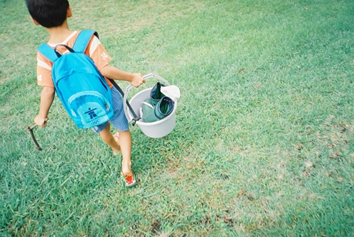 根岸森林公園の夏