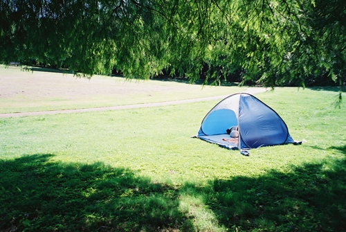 テント