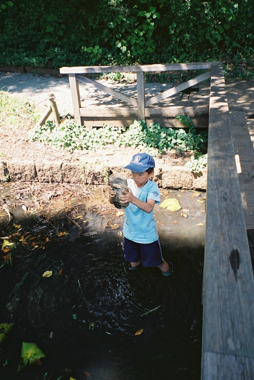 仕掛けで魚をとる