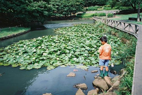 ザリガニポイント探し
