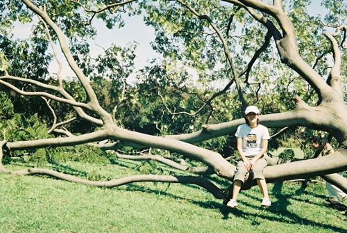 台風後の森林公園
