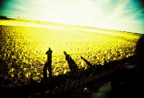 印旛村の田んぼ