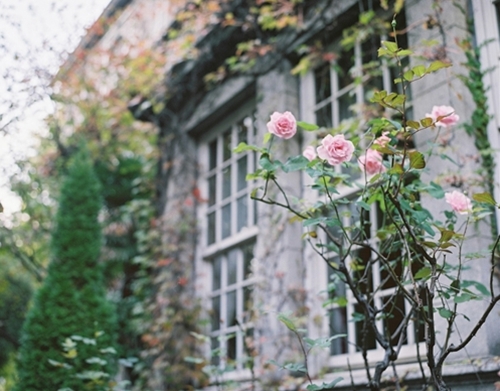 たまにはこういう写真も