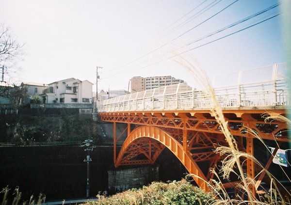 いつもと違う道