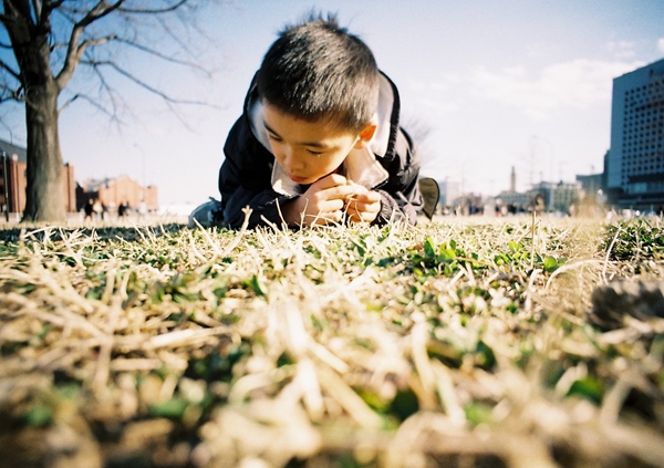 四つ葉ハンター