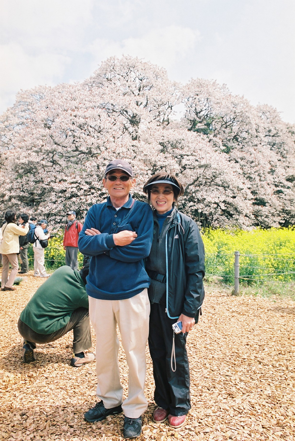 吉高の大桜と親