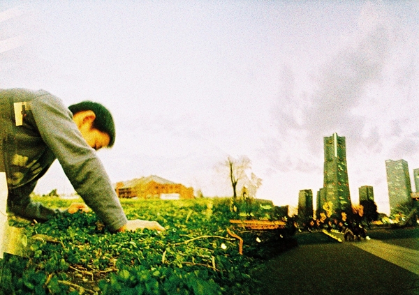 みなとみらい　LC-WIDE　クロスプロセス