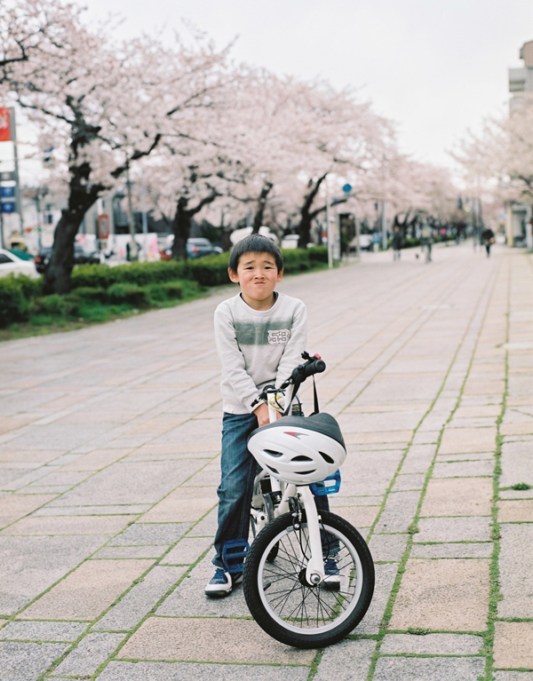 本牧の通りの桜