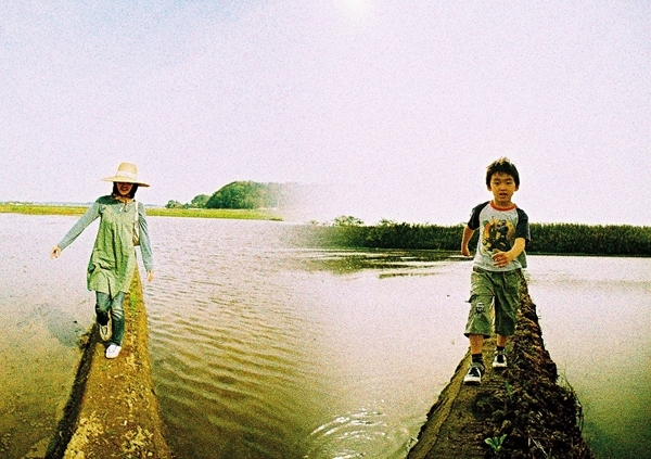 印旛村の田んぼ