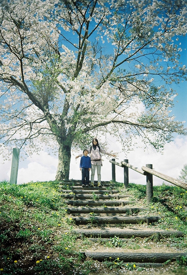 尖り石遺跡の桜