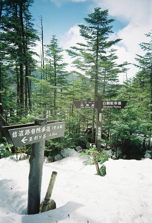 氷の白駒池一周