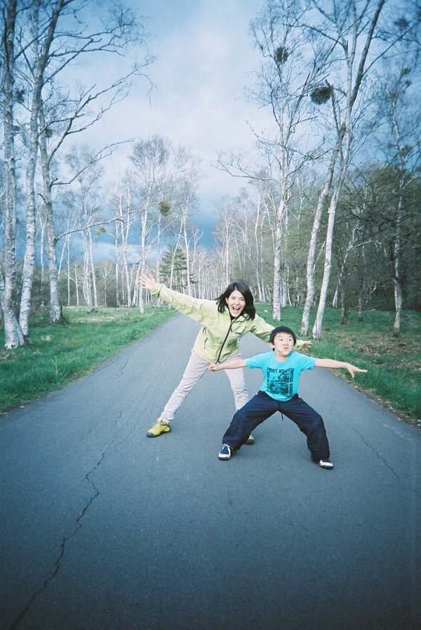 八ヶ岳の白樺並木